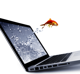 Online Website Social Media